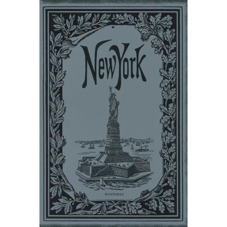 New York a photographers journey