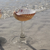Seashell Glass