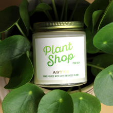  Aster Plant Shop Candles