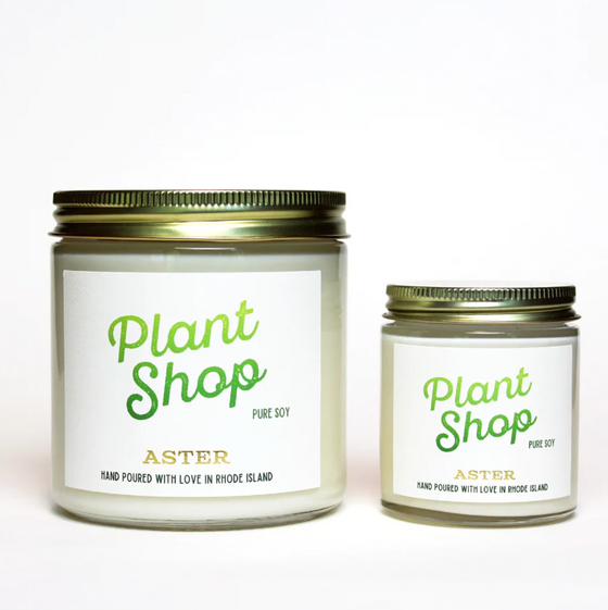 Aster Plant Shop Candles